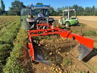 Checchi&Magli SP160 Double row potato digger